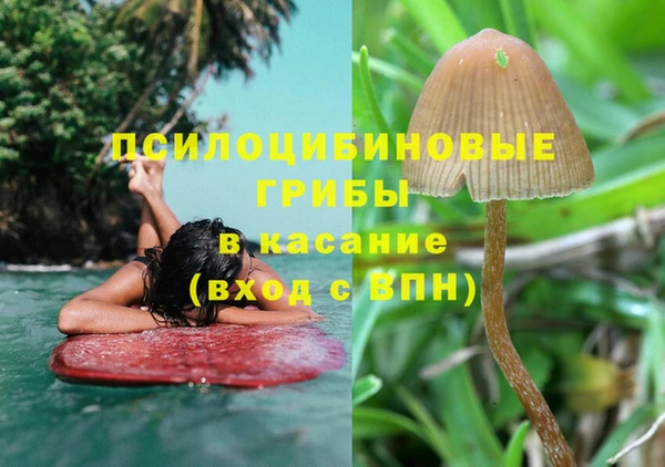 мескалин Шадринск