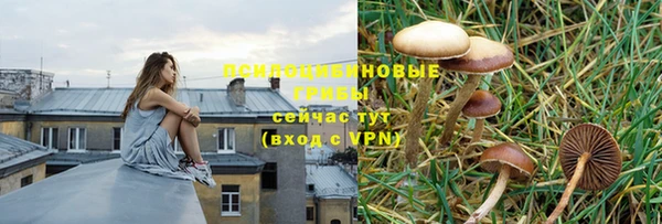 герыч Шарыпово