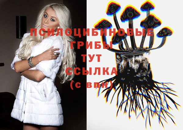 мескалин Шадринск