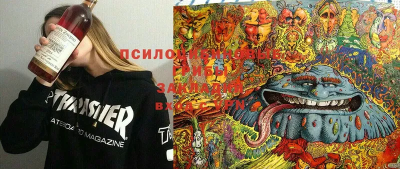 Псилоцибиновые грибы мицелий  Агидель 